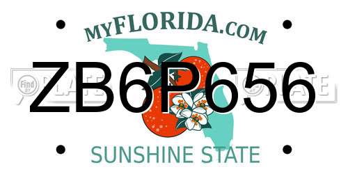 ZB6P656 Florida License Plate