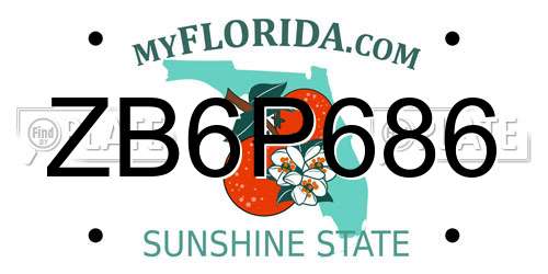 ZB6P686 Florida License Plate