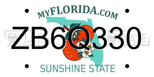 ZB6Q330 Florida License Plate