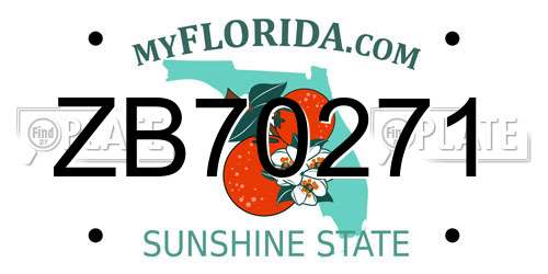 ZB70271 Florida License Plate