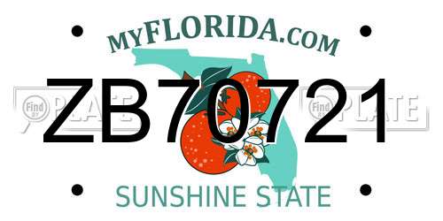 ZB70721 Florida License Plate