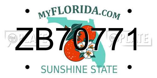 ZB70771 Florida License Plate
