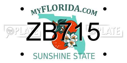 ZB715 Florida License Plate