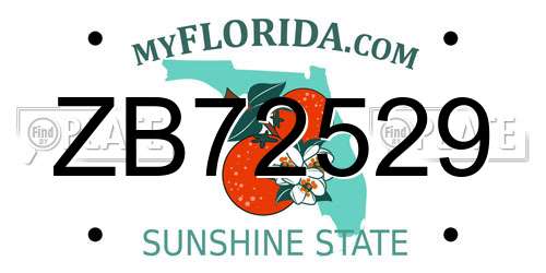 ZB72529 Florida License Plate