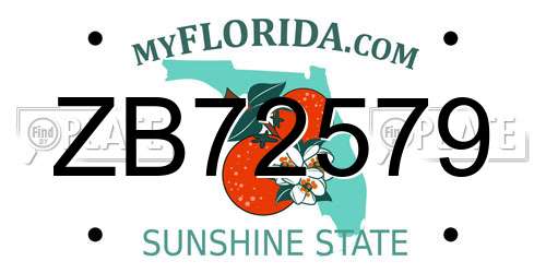 ZB72579 Florida License Plate