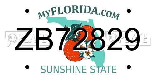 ZB72829 Florida License Plate