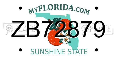 ZB72879 Florida License Plate