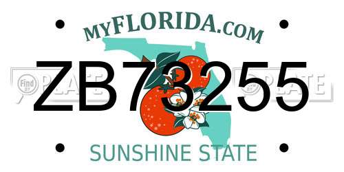 ZB73255 Florida License Plate
