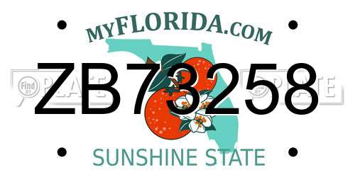 ZB73258 Florida License Plate