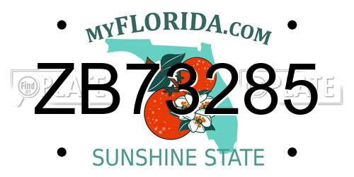 ZB73285 Florida License Plate