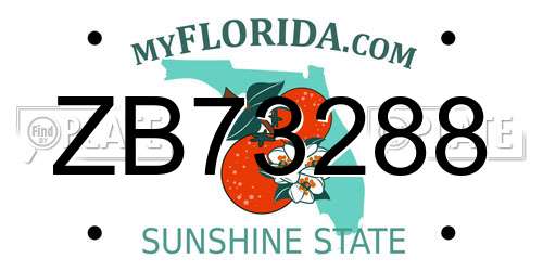ZB73288 Florida License Plate