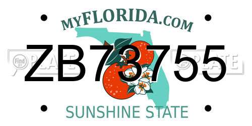 ZB73755 Florida License Plate