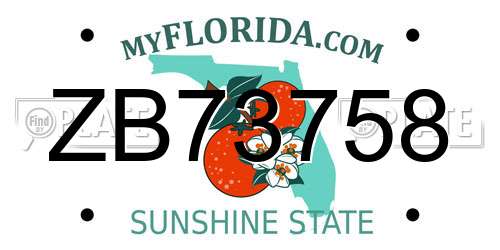 ZB73758 Florida License Plate