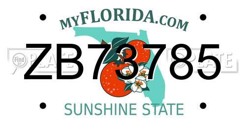 ZB73785 Florida License Plate