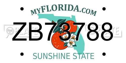 ZB73788 Florida License Plate