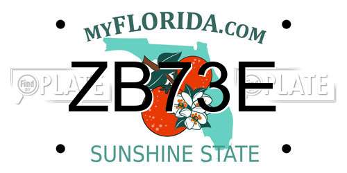 ZB73E Florida License Plate