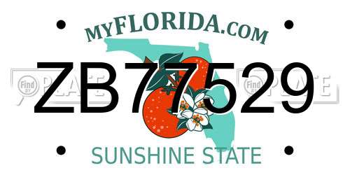 ZB77529 Florida License Plate