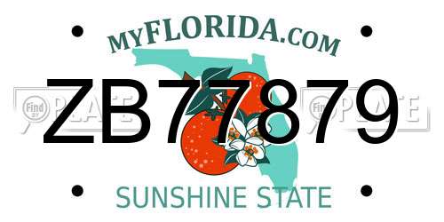ZB77879 Florida License Plate