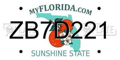 ZB7D221 Florida License Plate
