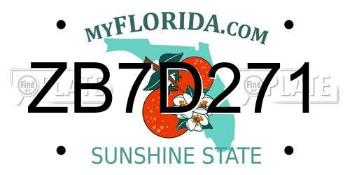 ZB7D271 Florida License Plate