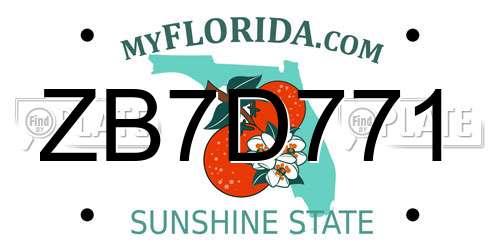 ZB7D771 Florida License Plate