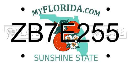 ZB7E255 Florida License Plate