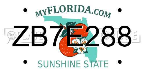 ZB7E288 Florida License Plate