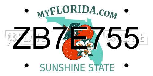 ZB7E755 Florida License Plate