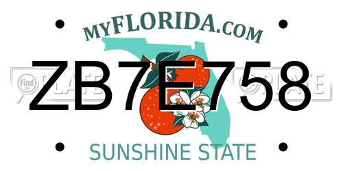 ZB7E758 Florida License Plate