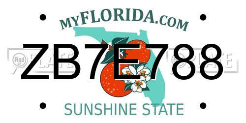 ZB7E788 Florida License Plate