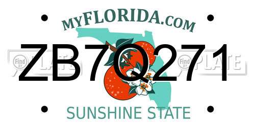 ZB7Q271 Florida License Plate