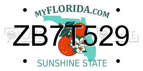 ZB7T529 Florida License Plate