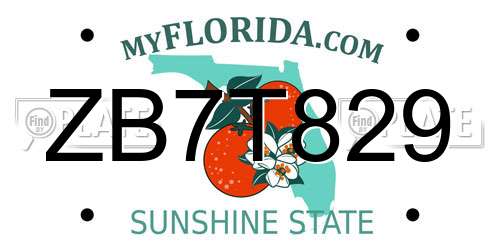 ZB7T829 Florida License Plate