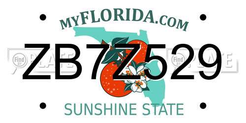 ZB7Z529 Florida License Plate