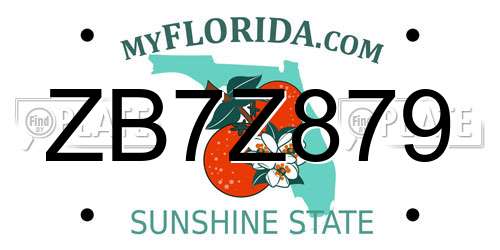 ZB7Z879 Florida License Plate