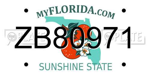 ZB80971 Florida License Plate