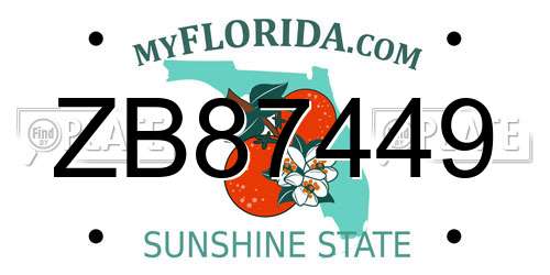 ZB87449 Florida License Plate