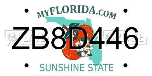 ZB8D446 Florida License Plate