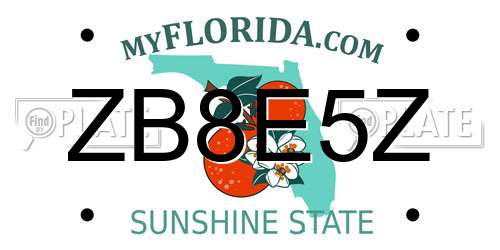 ZB8E5Z Florida License Plate