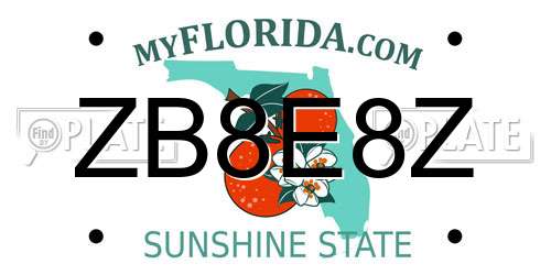 ZB8E8Z Florida License Plate