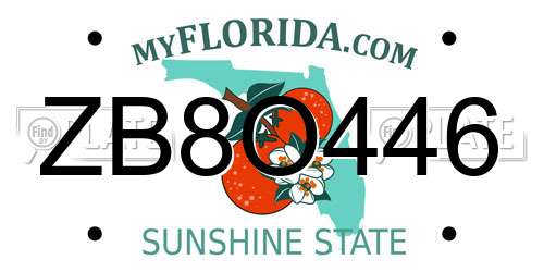 ZB8O446 Florida License Plate