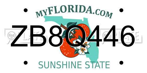 ZB8Q446 Florida License Plate