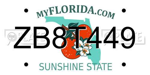 ZB8T449 Florida License Plate