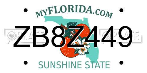 ZB8Z449 Florida License Plate