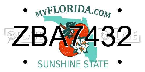 ZBA7432 Florida License Plate