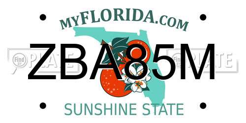 ZBA85M Florida License Plate