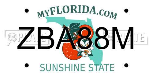 ZBA88M Florida License Plate