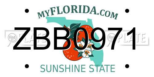 ZBB0971 Florida License Plate