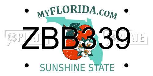 ZBB339 Florida License Plate