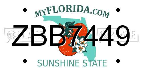 ZBB7449 Florida License Plate
